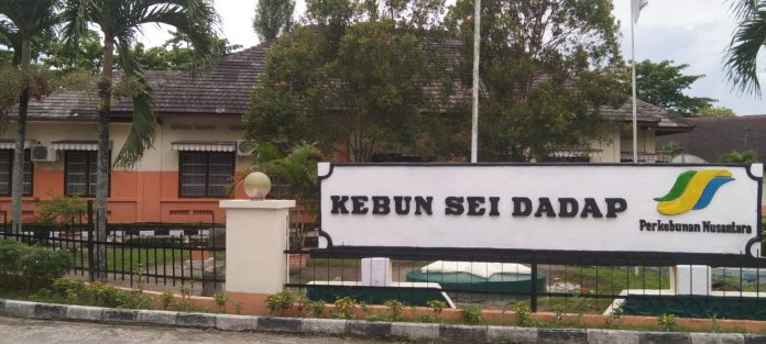 Kantor Emplasmen PTPN - 3 Kebun Sei Dadap Asahan (dok.istimewa)