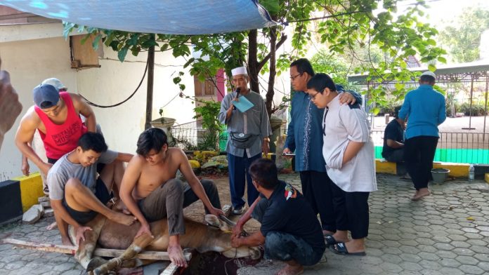 Keterangan foto: FISIP Universitas Sriwijaya Kurban Tiga Sapi (dok.istimewa)