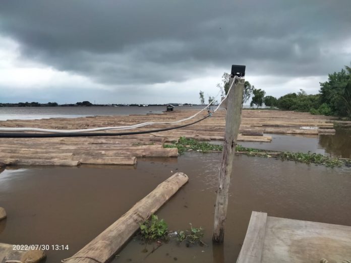 Batang Kayu di Bantaran Sungai (dok.istimewa)