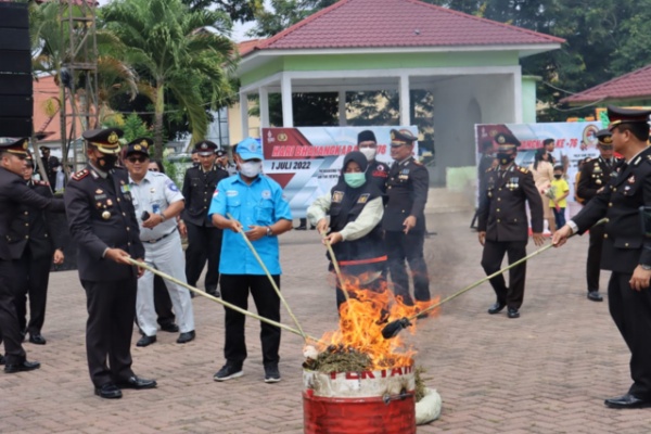 Keterangan foto: Polres Tebing Tinggi Musnahkan 50 Kg Ganja (dok.istimewa)