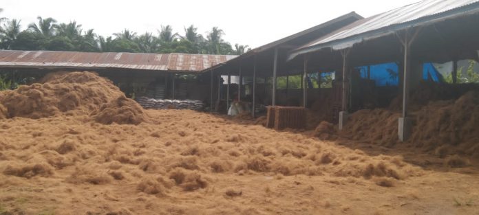 Lokasi pabrik pengolahan sabut kelapa sebagai salah satu bahan baku pembuatan Fibeer ( foto/Joko )