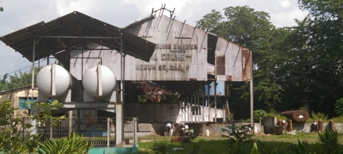Gudang penyimpanan getah karet milik PTPN - 3 Kebun Sei Dadap sebagai lokasi tempat pencurian (suararakyat.net/Joko)