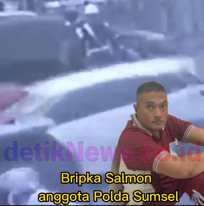 Bripka Salmon