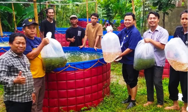 Gerakkan Sektor Budidaya Ikan Nila Dalam Kolam Bioflok, Katar Kelurahan Bojongsari Inisiasi Pengembangan Usaha Untuk Tingkatkan Perekonomian Masyarakat