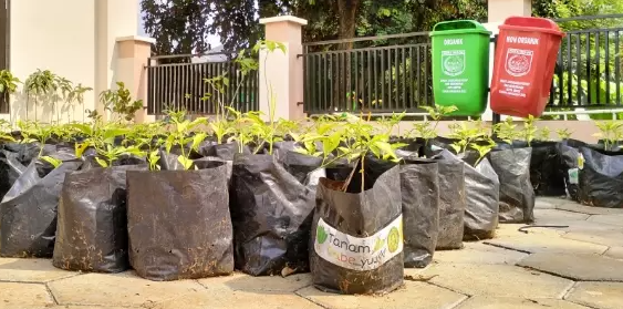 Bantuan Ribuan Bibit Cabai Diberikan kepada Warga Jatimulya untuk Meningkatkan Produksi Pertanian dan Atasi Kenaikan Harga Cabai