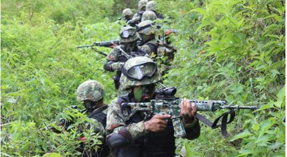 TNI-Polri Gugur