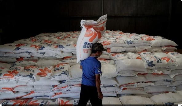 Ketua Perpadi Ungkap Produksi Beras Turun, Pemerintah Impor 2 Juta Ton untuk Memenuhi Kebutuhan