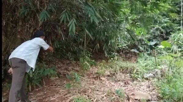 Kepala UPTD TPU Depok Sebut Area Makam Perlu Penataan, Antisipasi Longsor Terulang